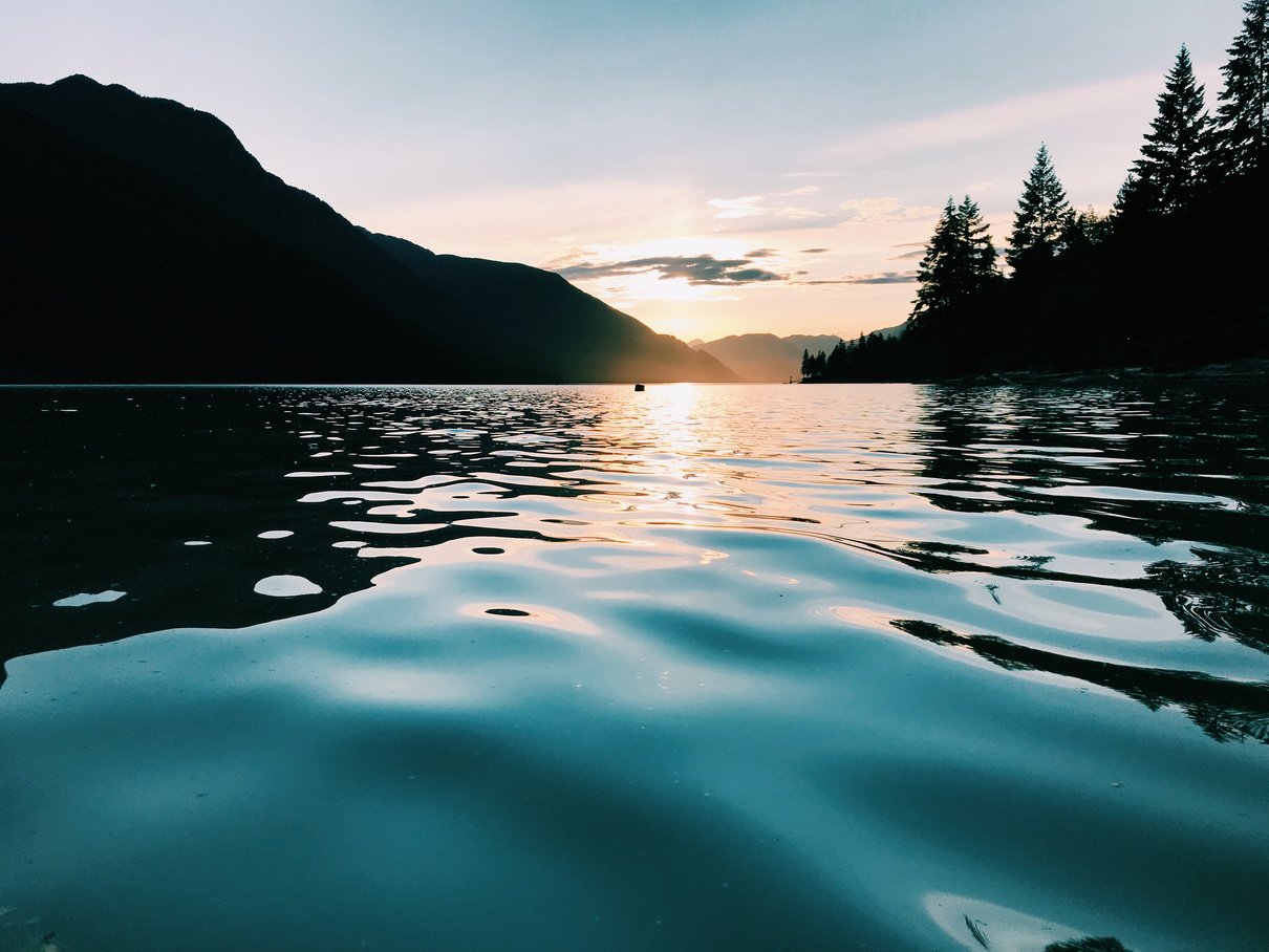 Lake Near Forest